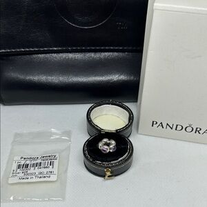 Pandora Amethyst & Sterling Silver Charm